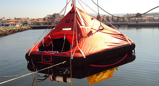 perro con chaleco