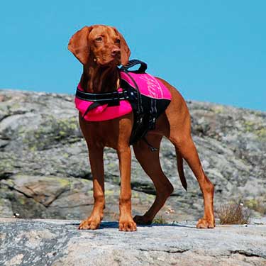 chalecos para perros